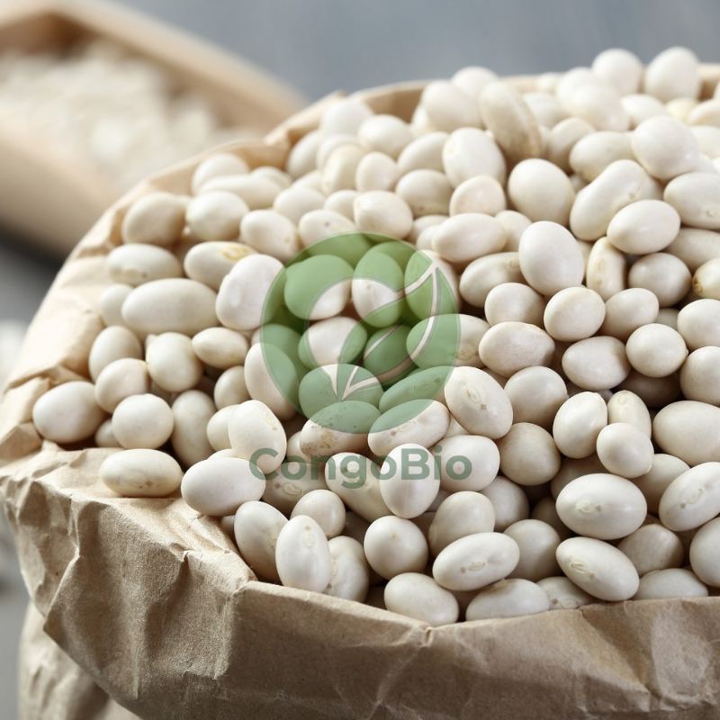Haricots blancs