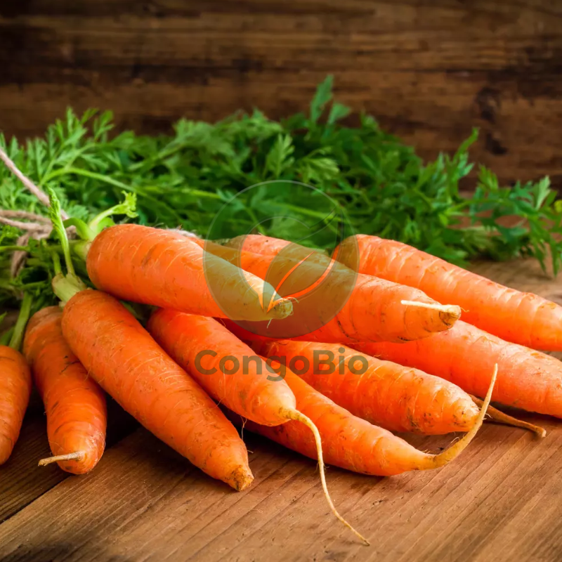 Carottes