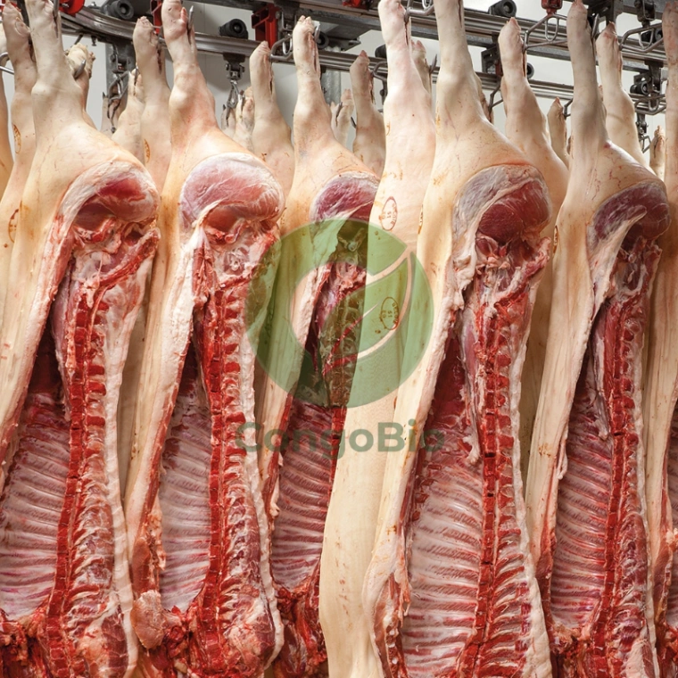 Carcasse de Porc
